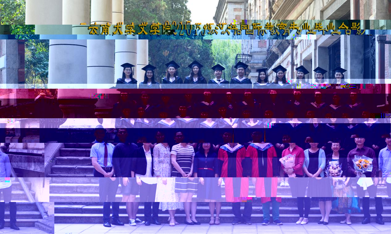 說明: 說明: 說明: (2019屆)伟德国际1916备用网址2015級漢語國際教育專業畢業合影
